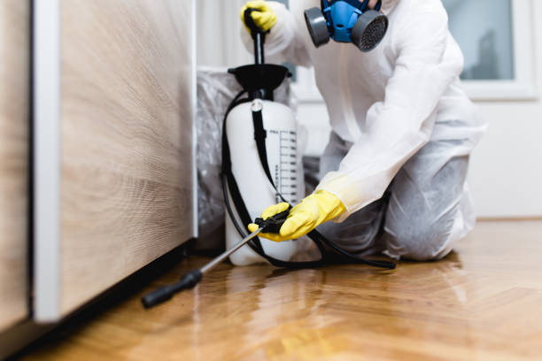 Best Best Pest Control Companies  in Albany, TX