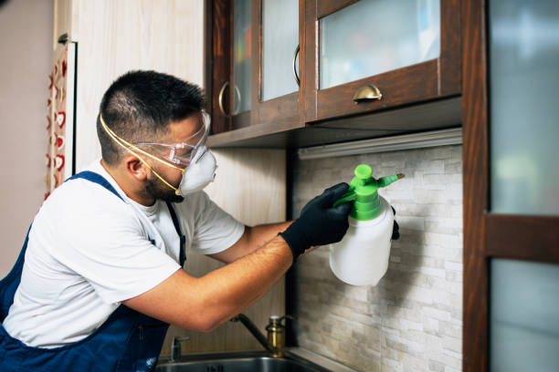 Best Termite Control Services  in Albany, TX