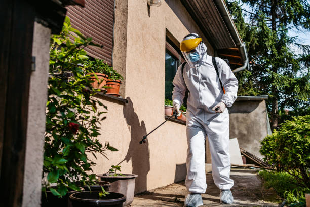 Best Best Pest Control Companies  in Albany, TX
