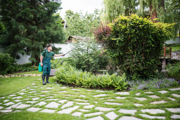 Best Affordable Pest Control Services  in Albany, TX