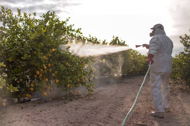 Best Best Pest Control Near Me  in Albany, TX