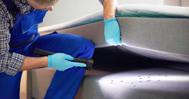  Albany, TX Pest Control Pros