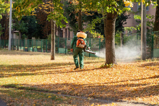 Best Bed Bug Extermination  in Albany, TX