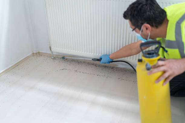 Best Commercial Pest Control Services  in Albany, TX