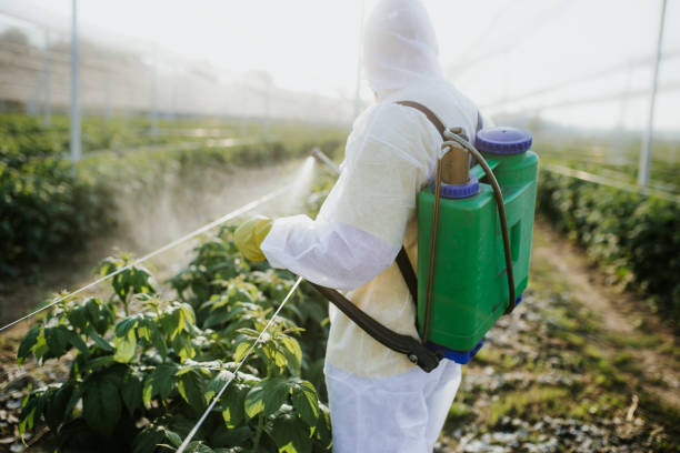 Best Mosquito Control Services  in Albany, TX